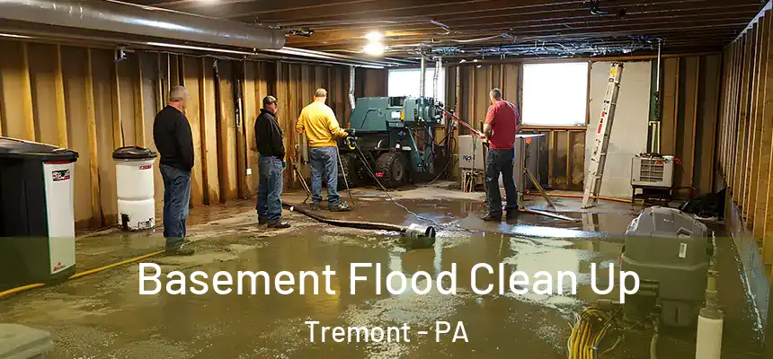  Basement Flood Clean Up Tremont - PA
