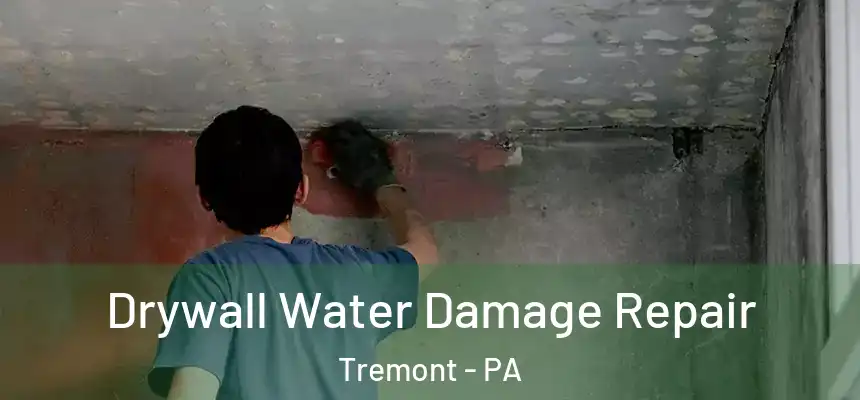 Drywall Water Damage Repair Tremont - PA