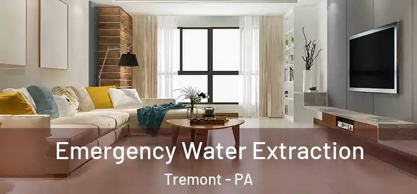  Emergency Water Extraction Tremont - PA