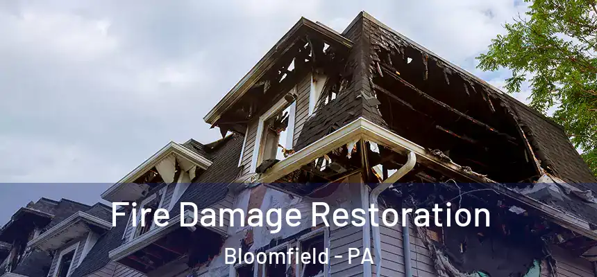  Fire Damage Restoration Bloomfield - PA