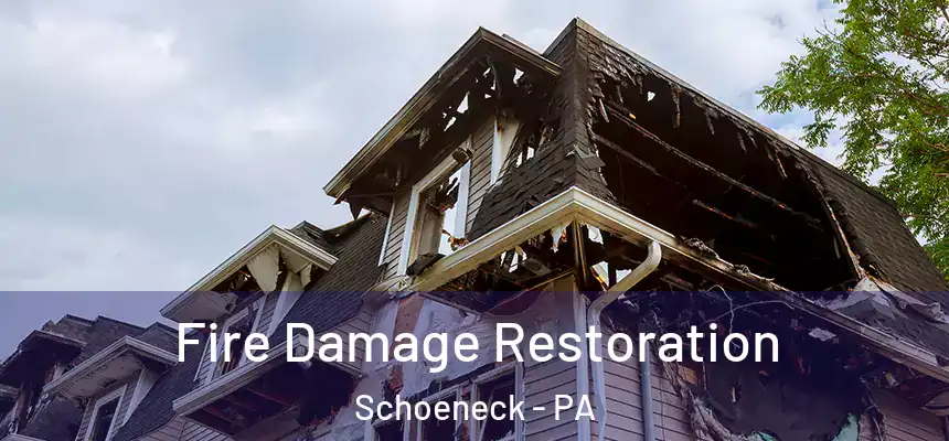 Fire Damage Restoration Schoeneck - PA