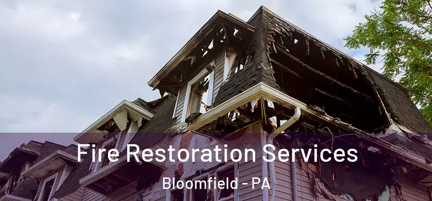  Fire Restoration Services Bloomfield - PA
