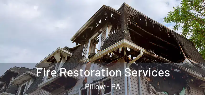 Fire Restoration Services Pillow - PA