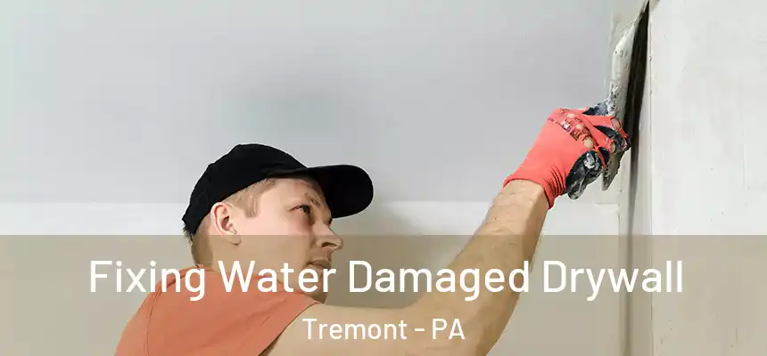 Fixing Water Damaged Drywall Tremont - PA
