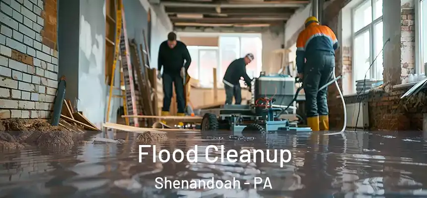 Flood Cleanup Shenandoah - PA