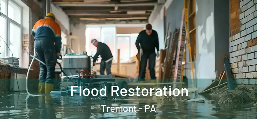  Flood Restoration Tremont - PA