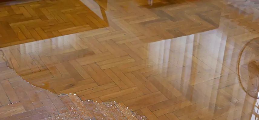 Laminate Wood Floor Water Damage Repair in Tremont