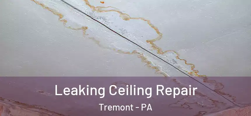 Leaking Ceiling Repair Tremont - PA