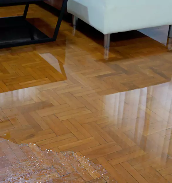 Trusted Emergency Water Restoration Company in Tremont, PA