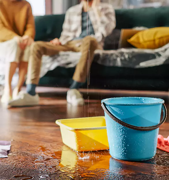 Trusted Water Remediation Company in Tremont, PA