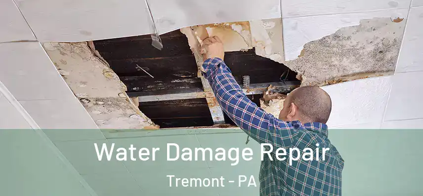 Water Damage Repair Tremont - PA