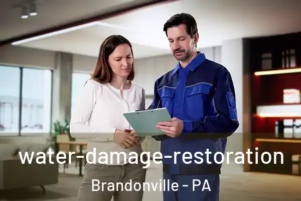  water-damage-restoration Brandonville - PA