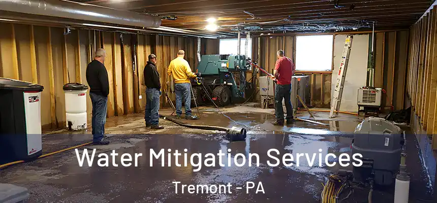  Water Mitigation Services Tremont - PA