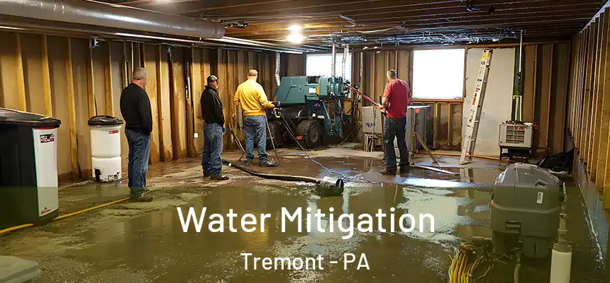  Water Mitigation Tremont - PA