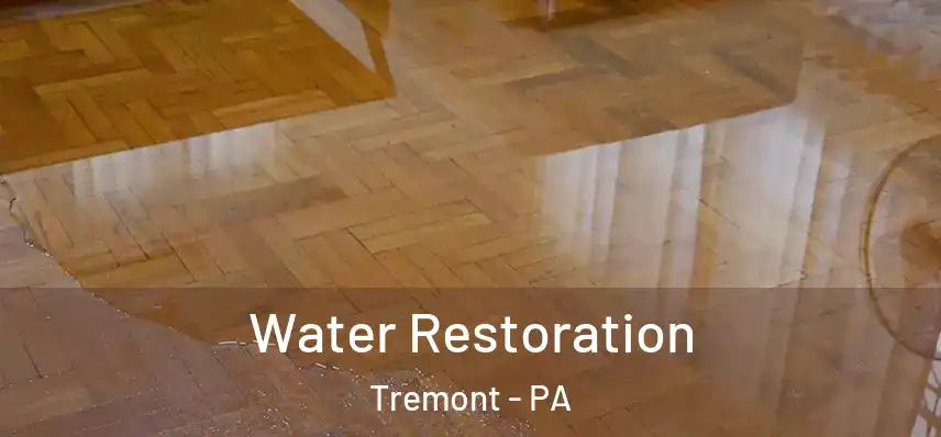 Water Restoration Tremont - PA